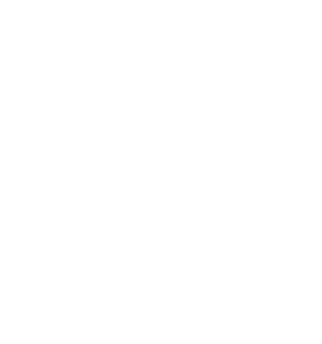 Logo VF